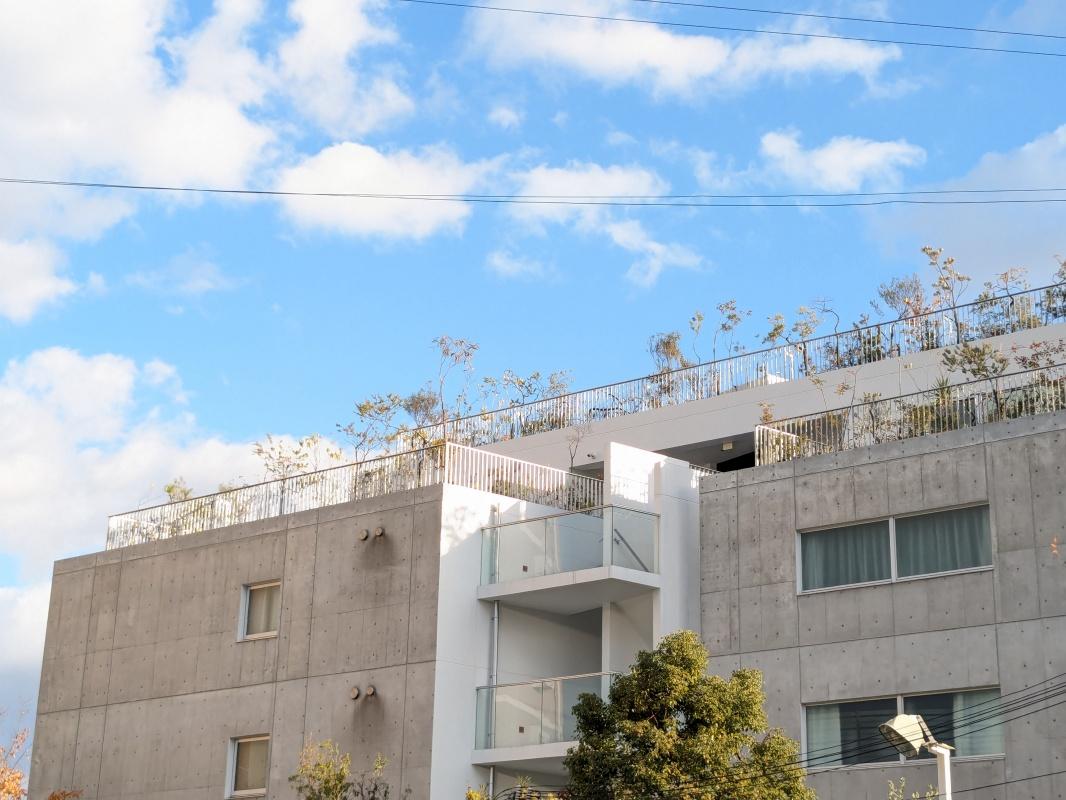 大阪府豊中市桜の町の賃貸物件/打ち放しコンクリートと屋上の植栽が建物の顔になっています。