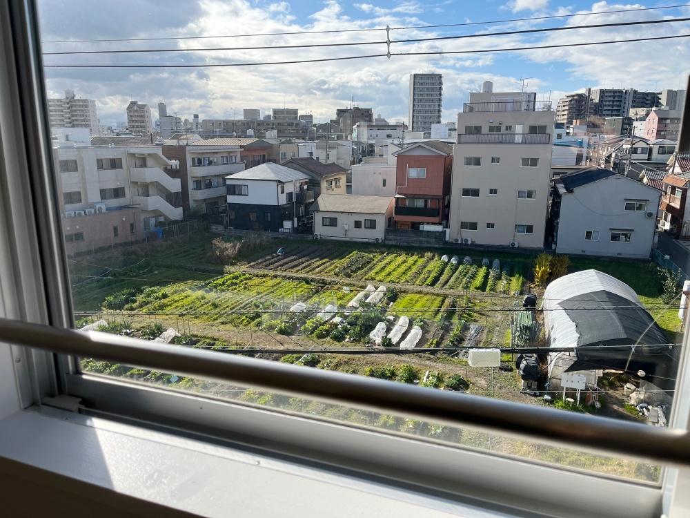 大阪市住吉区大領4丁目の賃貸物件/窓から広い畑が見えています