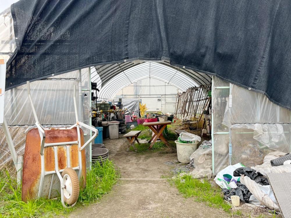 大阪市住吉区大領4丁目の賃貸物件/畑！場所あり、農具あり、苗あり。