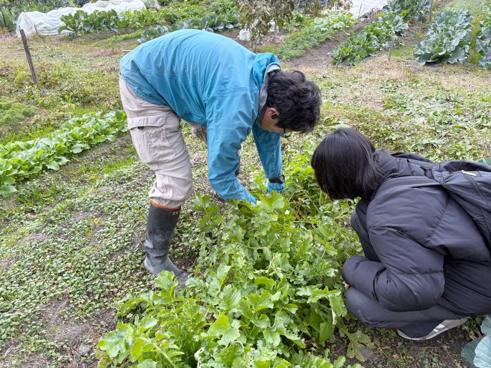 大阪市住吉区大領4丁目の賃貸物件/師匠つき。