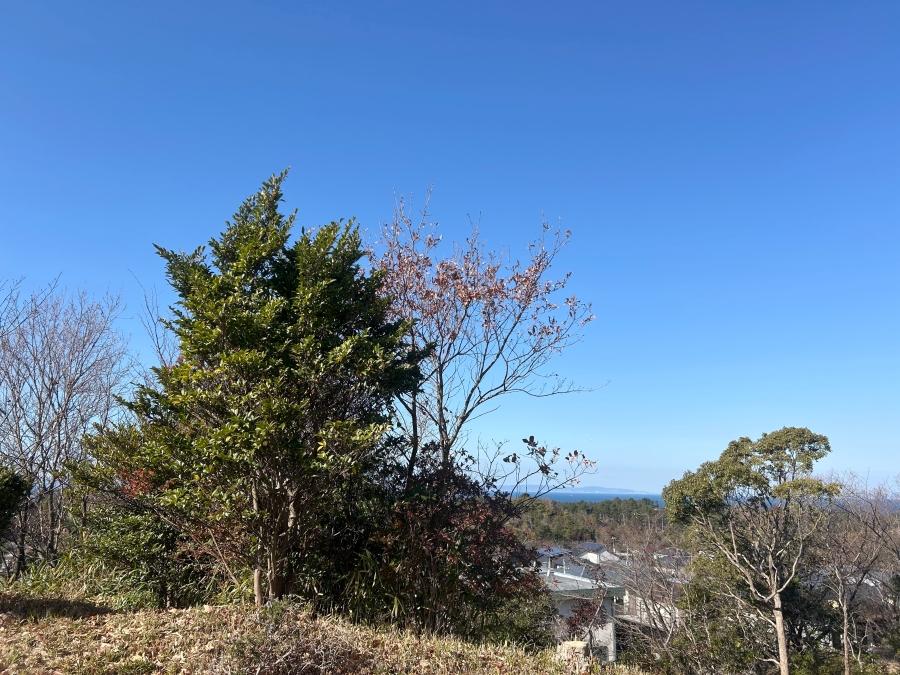 大阪府泉南郡岬町深日の売買物件/季節を感じる木々