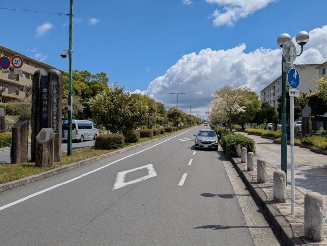 大阪府富田林市寺池台一丁目の売買物件/団地沿いの道路も緑の風景が楽しめます。