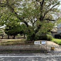 大阪府箕面市桜5丁目の売買物件/物件の隣には桜が綺麗に咲く公園があります。