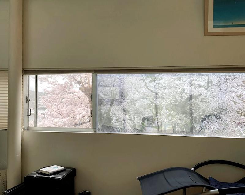 大阪府箕面市桜5丁目の売買物件/春には隣の公園の桜を借景。自宅にいながら花見が出来ます。