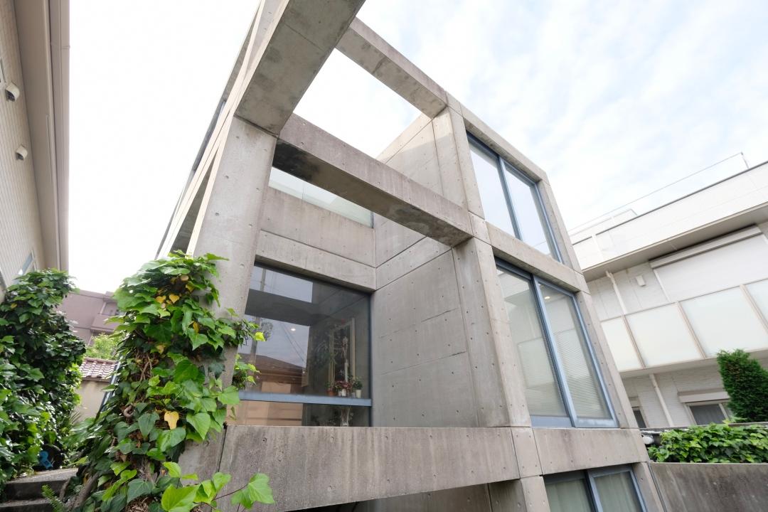 大阪市住吉区帝塚山中の売買物件/生命力を感じる佇まいです。