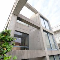 大阪市住吉区帝塚山中の売買物件/生命力を感じる佇まいです。