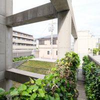 大阪市住吉区帝塚山中の売買物件/力強く伸びるフレーム