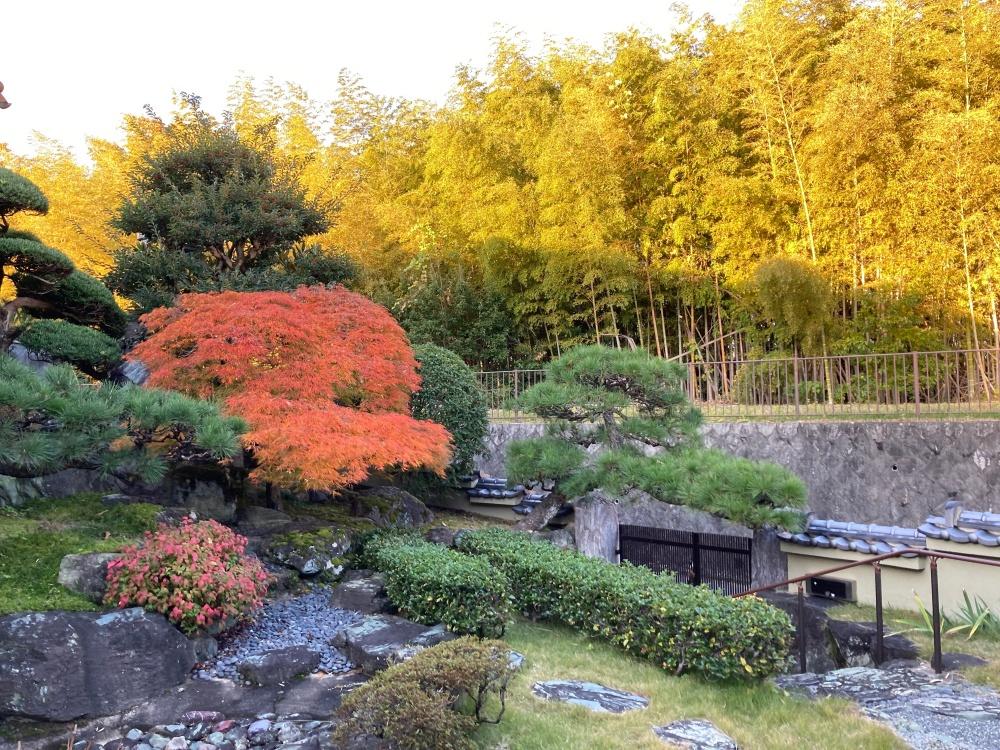 吹田市山田西３の売買物件/立派！！な庭。