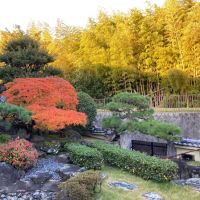 吹田市山田西３の売買物件/立派！！な庭。