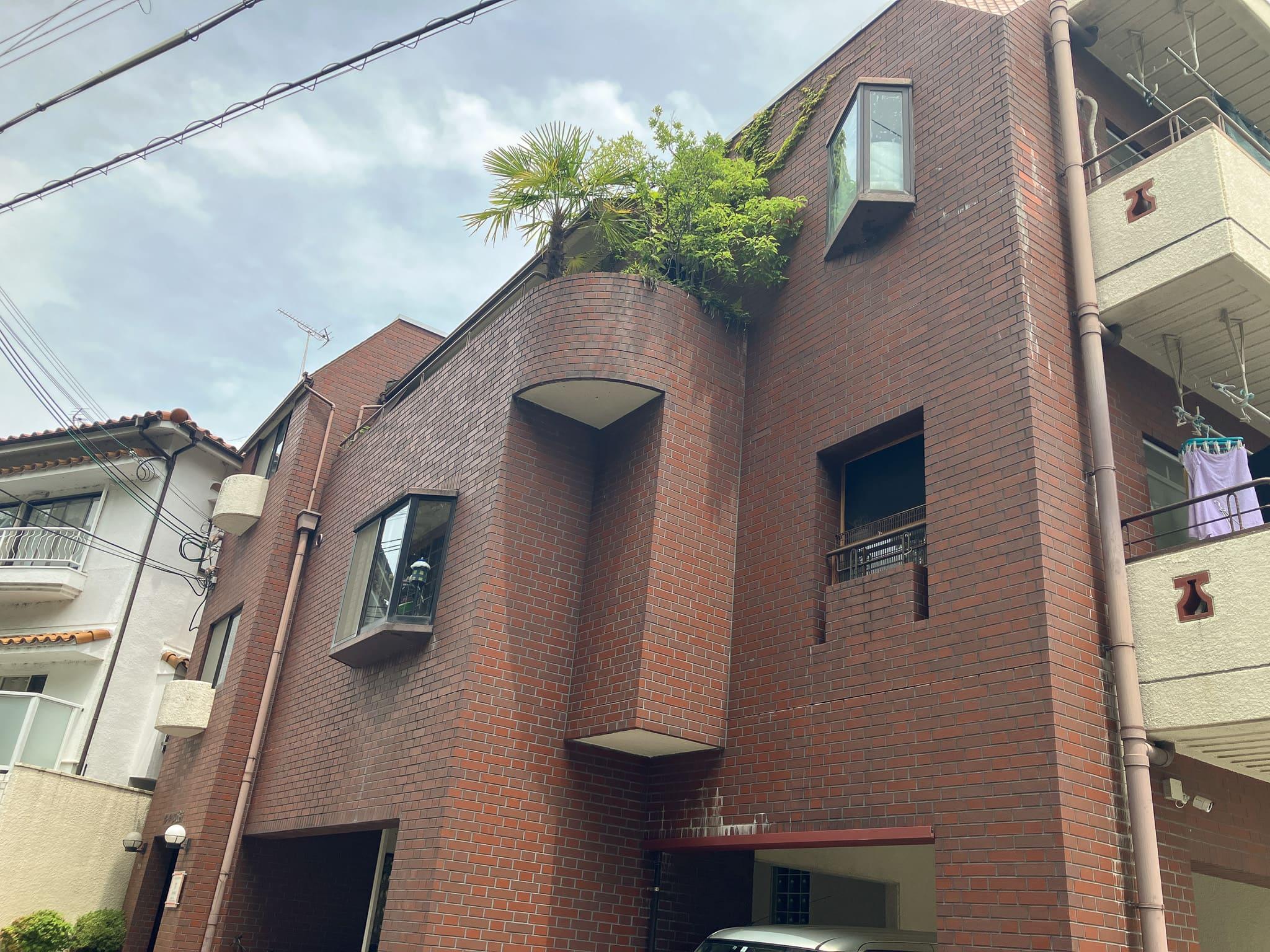 大阪市住吉区上住吉２丁目の賃貸物件/マンション外観。飛び出す緑は誰のもの。