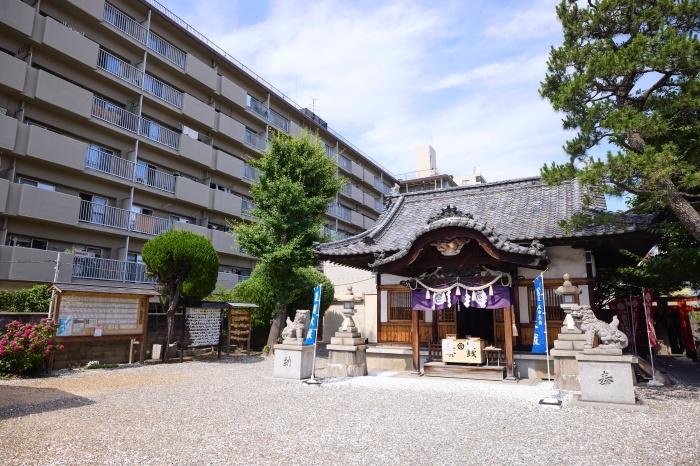 大阪市淀川区塚本2丁目の賃貸物件/塚本神社。朝は神社にお参りしてから一日を始める。そんな日常を送れるのも、この住まいの魅力です。