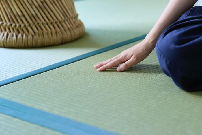 大阪市淀川区塚本2丁目の賃貸物件/思わず、触れたくなる畳。