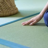 大阪市淀川区塚本2丁目の賃貸物件/思わず、触れたくなる畳。