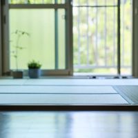 大阪市淀川区塚本2丁目の賃貸物件/視線の先は神社の緑。