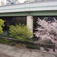 大阪市中央区淡路町1丁目の賃貸物件/春には窓から桜が見えます。