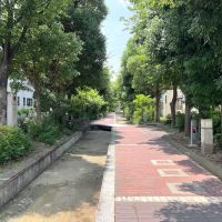 大阪市東淀川区の賃貸物件/散歩のすすめ①：通りたくなる道。