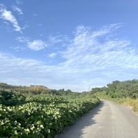 大阪市東淀川区の賃貸物件/散歩のすすめ③：淀川。空が広いな〜。