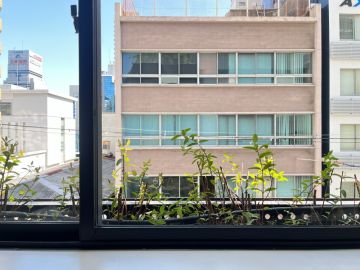 大阪府大阪市中央区南船場1丁目の賃貸物件/緑と育つオフィス