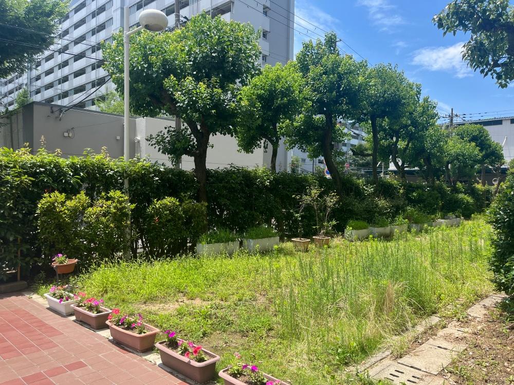 大阪市北区本庄東三丁目の売買物件/敷地内の豊かな緑