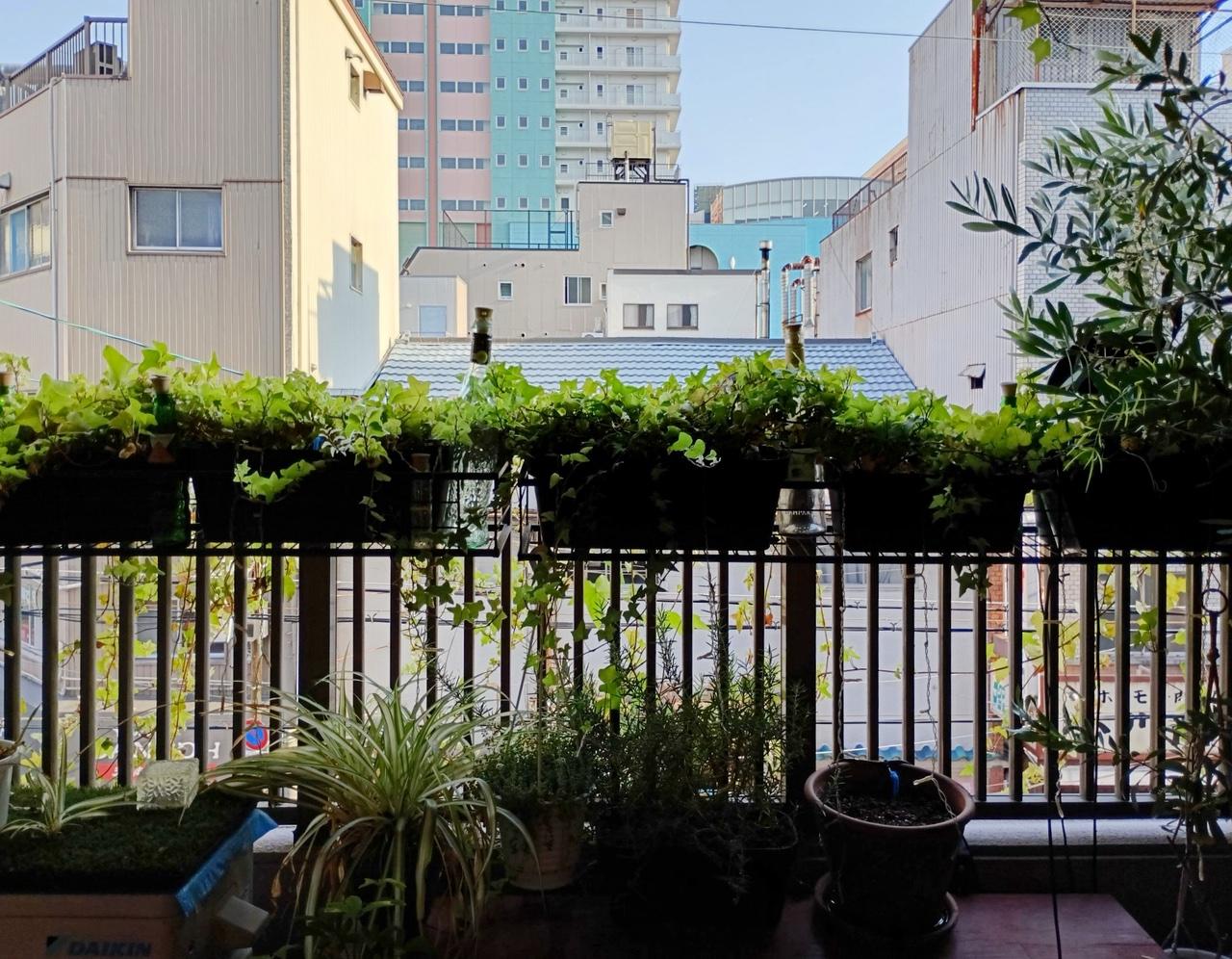 大阪市北区池田町の売買物件/南向きバルコニー。採光も充分です。
