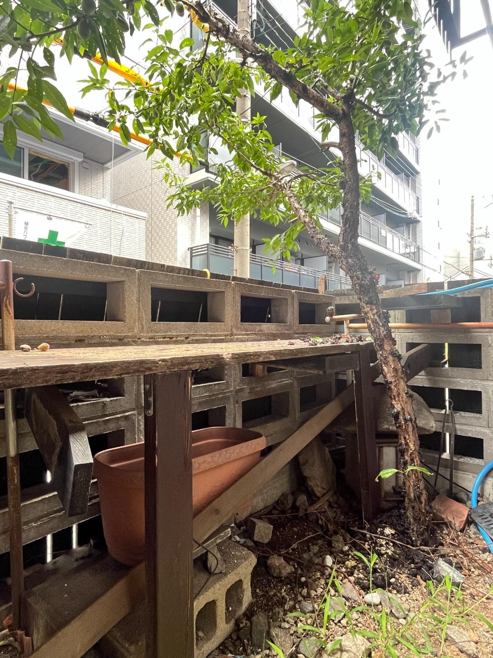 大阪市港区磯路2の賃貸物件/小さな庭。家庭菜園を楽しめそう。