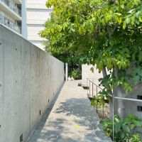 大阪府豊中市東豊中町２丁目の賃貸物件/2階の区画へ。(1-2階はメゾネット。入り口は2階です。)