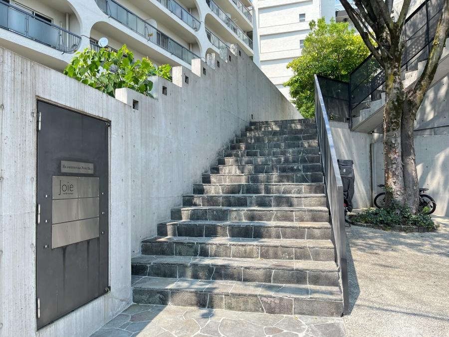 大阪府豊中市東豊中町２丁目の賃貸物件/アプローチ階段