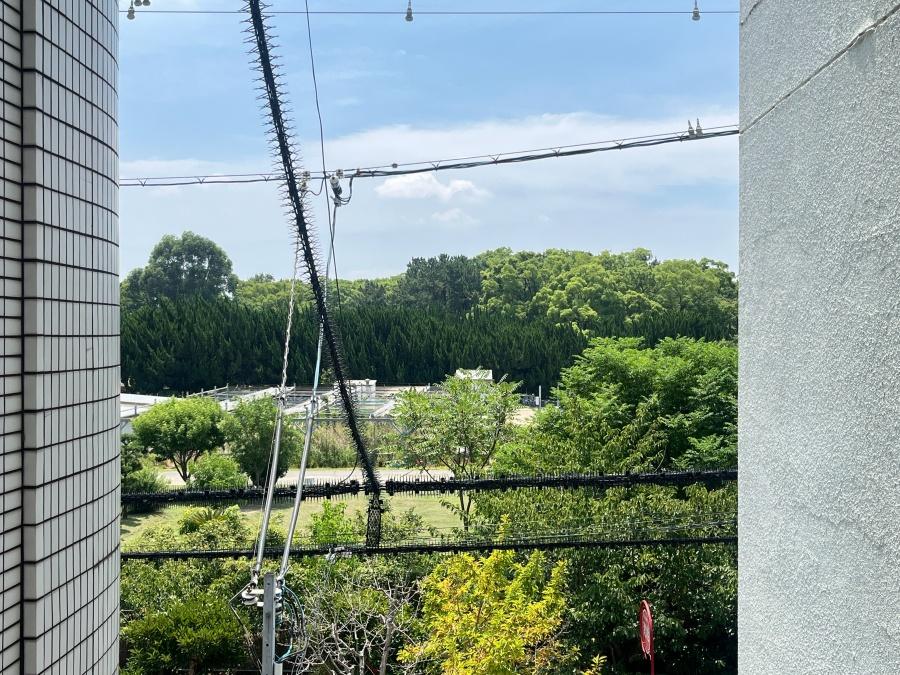 大阪市東住吉区南田辺4の賃貸物件/長居公園ビュー！広い空！