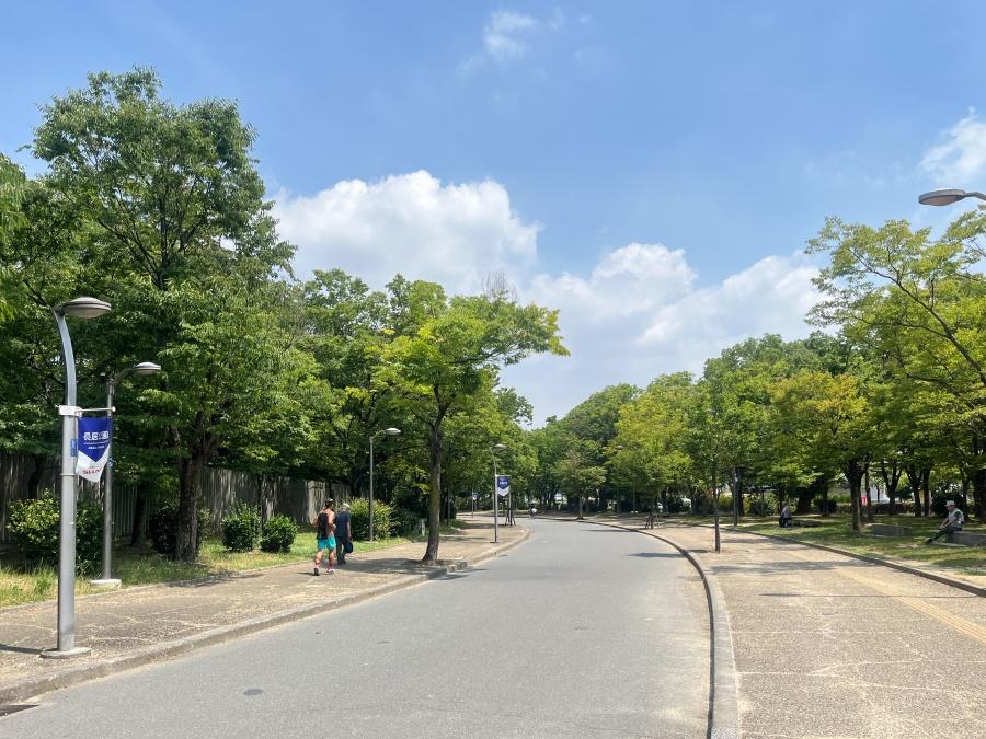 大阪市東住吉区南田辺4の賃貸物件/長居公園。散歩には困りません！