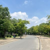 大阪市東住吉区南田辺4の賃貸物件/長居公園。散歩には困りません！