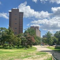大阪市北区中津2の賃貸物件/中津公園を囲むように建つA〜D棟。今回の物件は淀川側のA棟です。