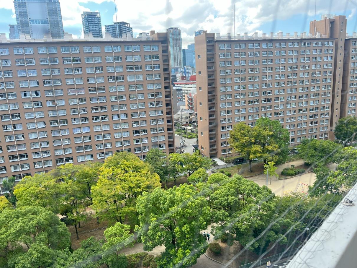 大阪市北区中津2の賃貸物件/下階：南側のバルコニーからは、中津公園ビュー！