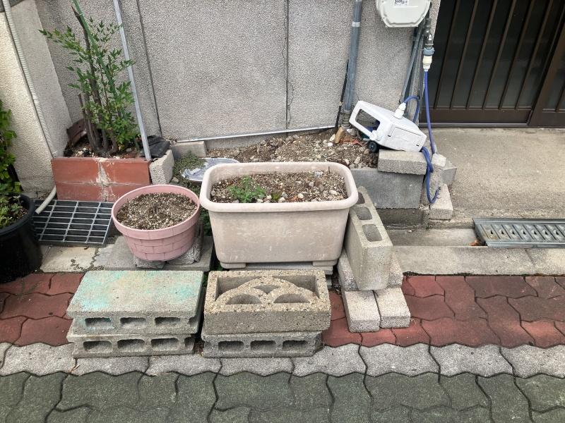 大阪市都島区御幸町2丁目の賃貸物件/玄関前に植木鉢。