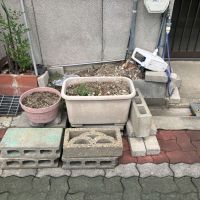 大阪市都島区御幸町2丁目の賃貸物件/玄関前に植木鉢。