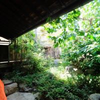 大阪府南河内郡河南町大ヶ塚の売買物件/手を入れながら育てたい庭。