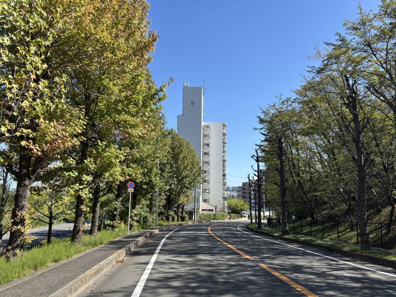 堺市南区原山台1丁の売買物件/駅からマンションに向かう道。最寄りの「栂・美木多」駅からは難波までは約30分です。