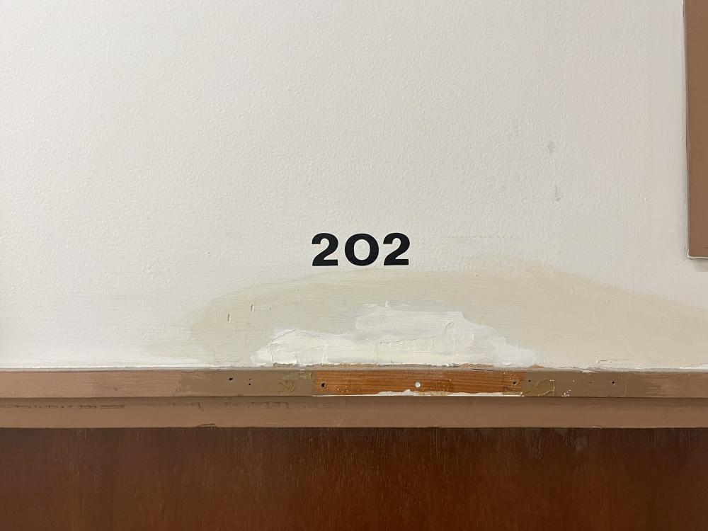 大阪市西区阿波座1丁目の賃貸物件/202号室の入口。