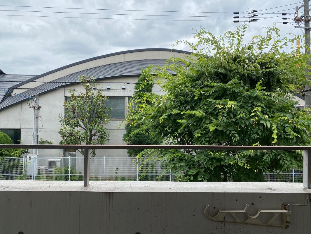 大阪市東住吉区山坂1丁目の賃貸物件/ベランダから見える風景。緑が心地良いのです。