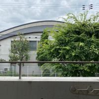 大阪市東住吉区山坂1丁目の賃貸物件/ベランダから見える風景。緑が心地良いのです。