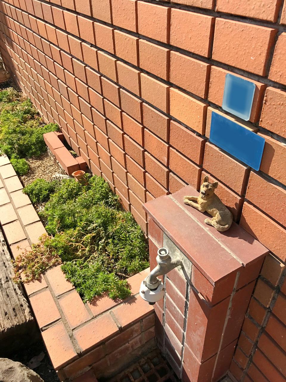 大阪市東住吉区田辺５丁目の賃貸物件/玄関脇には小さな犬