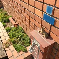 大阪市東住吉区田辺５丁目の賃貸物件/玄関脇には小さな犬
