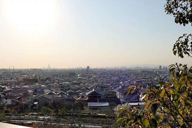 東大阪市客坊町の賃貸物件/この抜け感。遠く阿倍野ハルカスまで見渡せます。