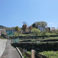 東大阪市客坊町の賃貸物件/段々畑の先に現れる「すいれん館」