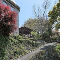 東大阪市客坊町の賃貸物件/このアプローチ・・・最高すぎません？？