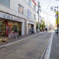 大田区南雪谷の賃貸物件/のどかな商店街沿いに立つ