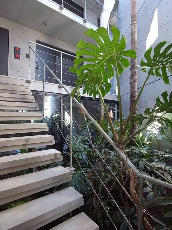 杉並区久我山の賃貸物件/共用階段。中庭にはシンボリックな植物が植えられています。