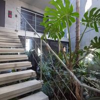 杉並区久我山の賃貸物件/共用階段。中庭にはシンボリックな植物が植えられています。