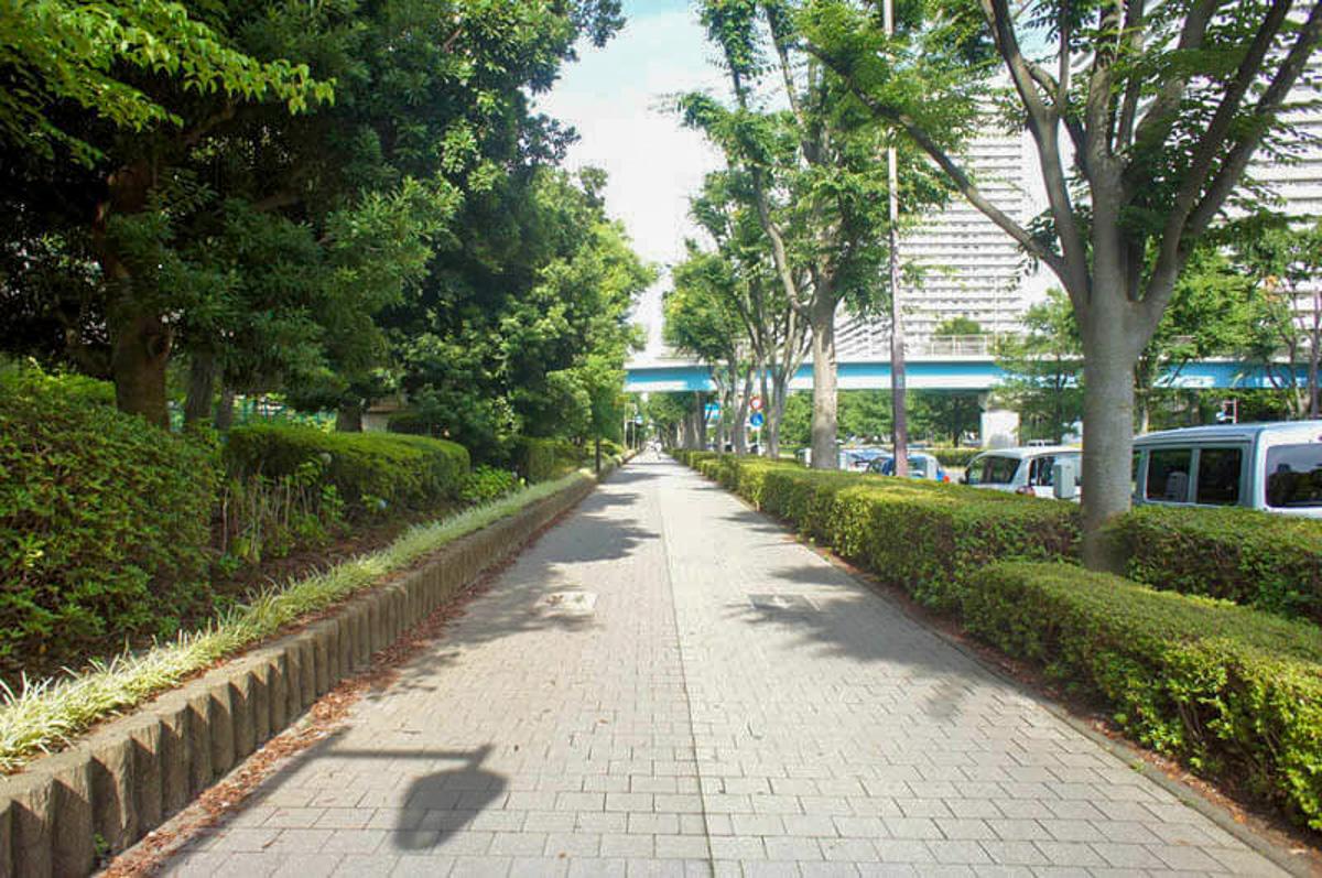 練馬区高松の賃貸物件/駅までの道は歩きやすい緑道