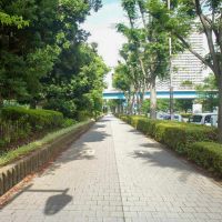 練馬区高松の賃貸物件/駅までの道は歩きやすい緑道