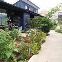 足立区六町の賃貸物件/他の棟の畑スペース。充実してます